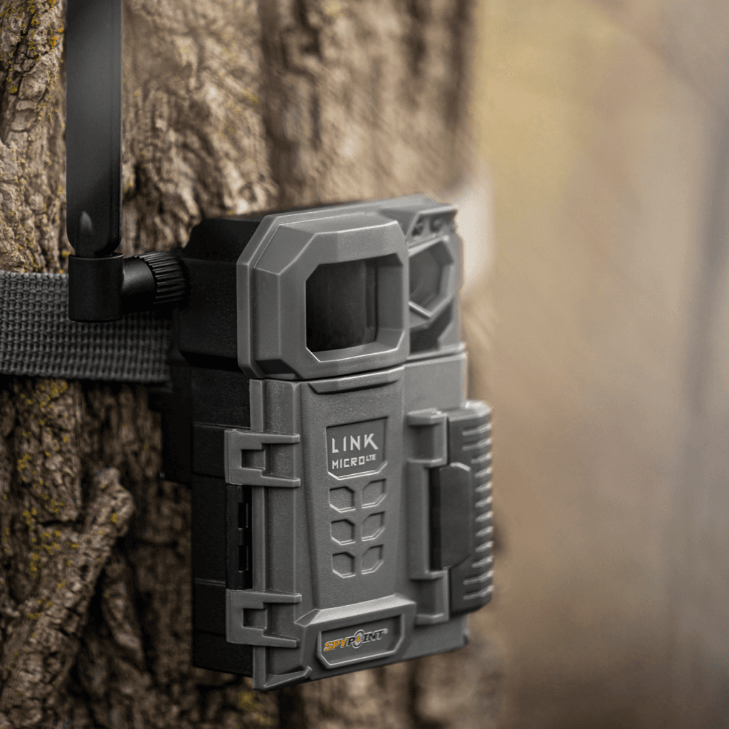 Spypoint® LINKMICROLTETWIN Grey Thomas Jacks
